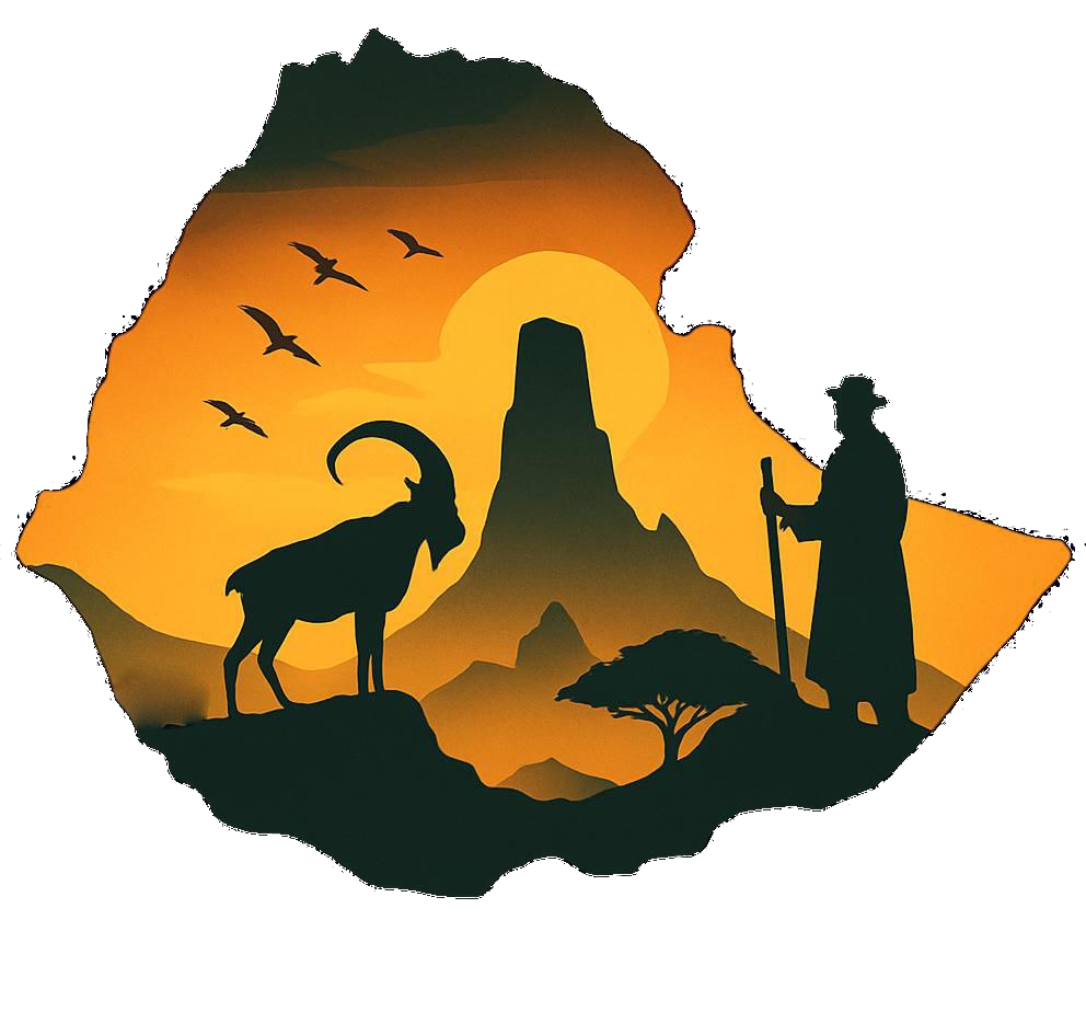 North Ethiopian Tour Operator